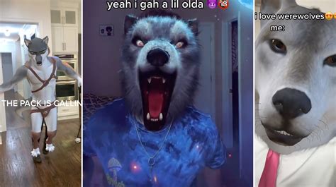 alpha wolf song tiktok